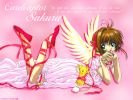 ccs 18 1024   426  (ccs 18 1024   ( Anime Wallpapers Card Captor Sakura  ) 426 )